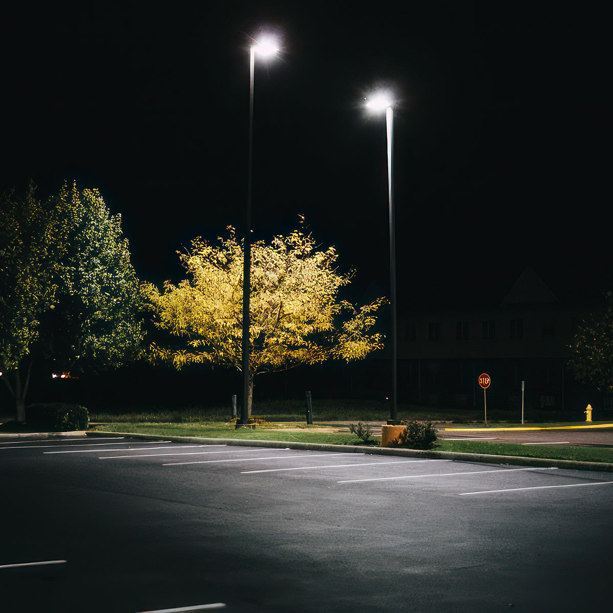 LED Shoebox Area Light 3 CCT illuminating a parking lot with bright, clear white light at night.