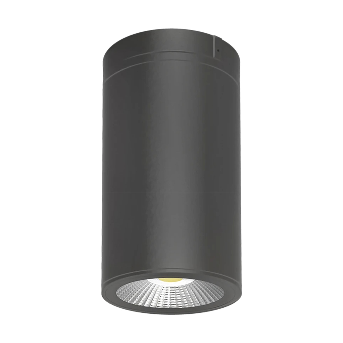 20W Selectable RAB CD34 4" LED Cylinder Surface Pendant Light - Bronze